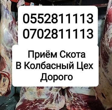 Услуги ветеринара: Частное лицо, Колбасный цех : Коровы, быки, Лошади, кони, Другие с/х животные, | Круглосуточно, Любое состояние, Забитый — 2
