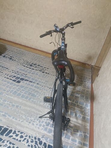 купить велосипед с широкими колесами: Горный велосипед, Сталь — 2