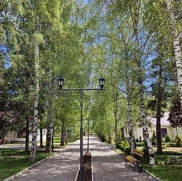 Готовый бизнес: Коттедж на территории городка Лагуна Сити село Кожояр. Вторая линия от — 1