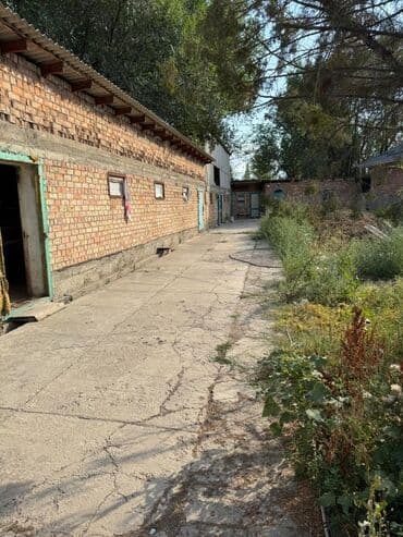 оборудование для молока: Предлагается или сдается промышленное помещение,продаю построенное из — 1