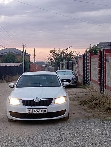 outback 2005: Skoda Octavia: 2016 г., 1.6 л, Автомат, Бензин, Лифтбек — 8