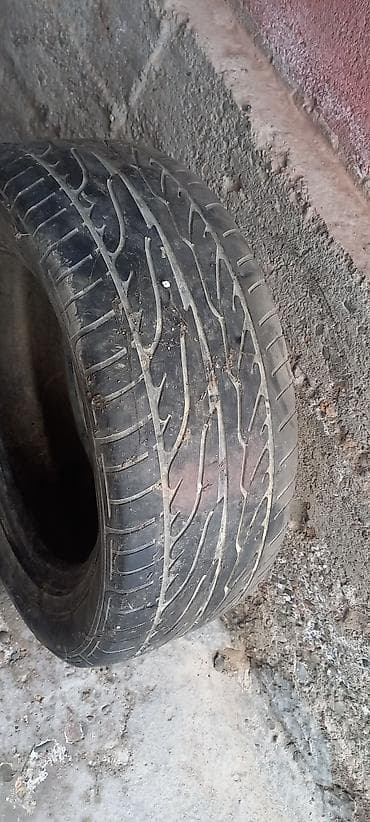 Шины 225 / 55 / R 16, Лето, Пара, Легковые, Dunlop