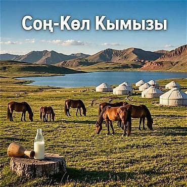 Продукты питания: Кымыз, саамал, В розницу, Бесплатная доставка — 2