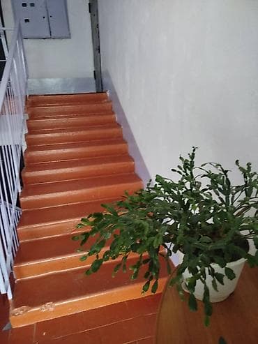 pro group: 3 комнаты, С мебелью полностью — 8