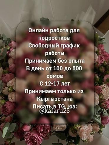 швея бишкеке: Онлайн‑подработка для подростков из Кыргызстана. - Формат — 1