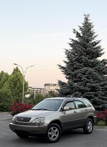 lexus e300: Lexus RX: 2002 г., 3 л, Автомат, Бензин, Внедорожник — 2