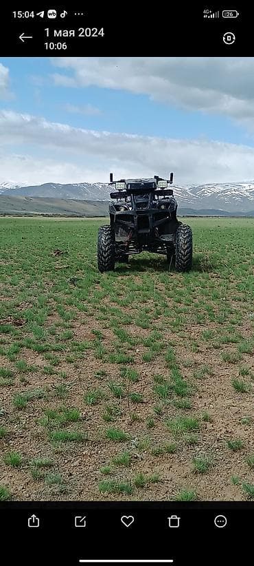 диск на мото: Квадроцикл для бездорожья - Полноразмерный спортивно-утилитарный — 1