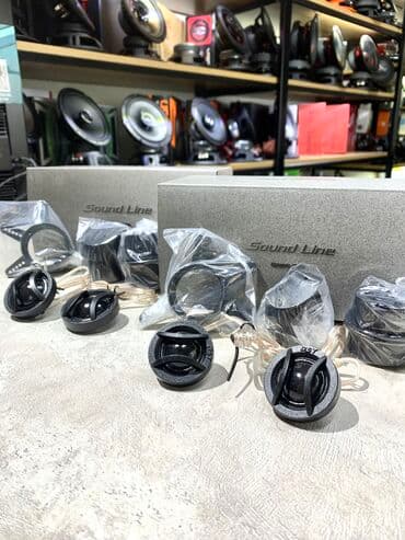 машны: Универсальные твиттеры с шёлковым куполом фирмы Dinamic State Модель — 1