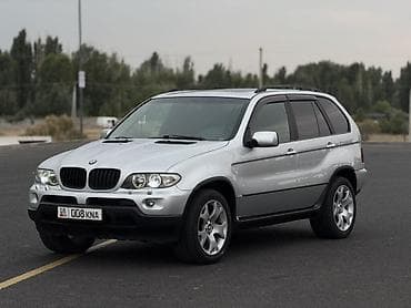 BMW X5: 2004 г., 3 л, Автомат, Дизель, Кроссовер