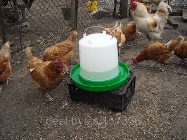 сельскохозяйственные животные продажа: Кормушки и Поилки Оптом и в Розницу для Кур и других Птиц . В нашем — 6