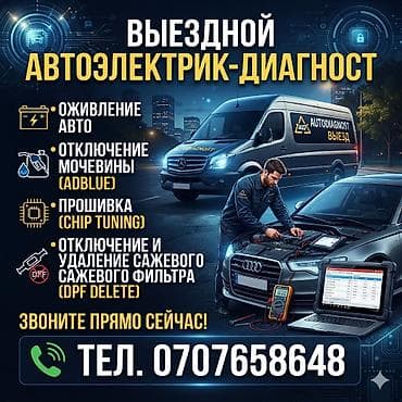 Автоэлектрик-диагност-реаниматор. г. БИШКЕК Специалист по оживлению
