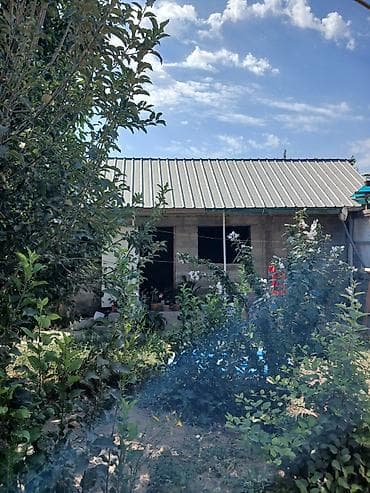 частные дома: Продаётся частный дом с большим двором и хозяйственными постройками — 5