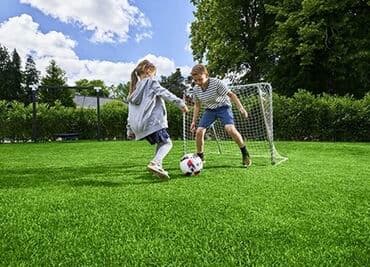 для газона: Газон Семена европейского газона DLF (Дания) *Солнечные *Теневые — 8