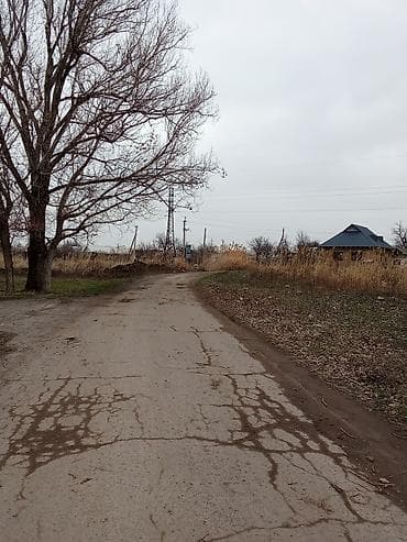 угловой участок: 10 соток, Для сельского хозяйства, Договор купли-продажи — 9