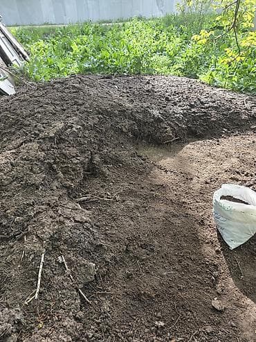 пони конь: Тооктун кыгы — 3