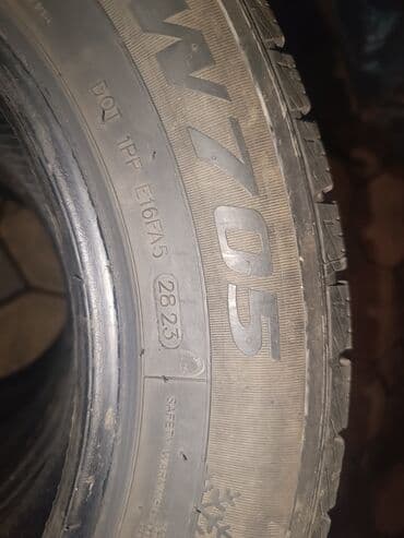 шины гофорум: Шиналар 195 / 65 / R 15, Кыш, Комплект, Жеңил унаалар, Goform — 6