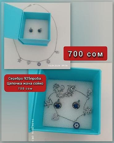 Набор украшений из серебра 925 пробы. Состав: - Цепочка с подвесками