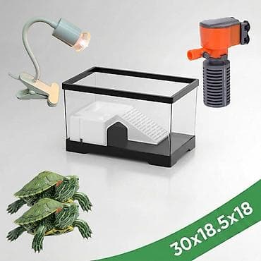 черепаха водная: Набор для содержания водных черепах 30×18.5×18 Цена: 2500с вместо — 1