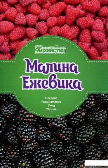 садовый стол и стулья: Саженцы : Ежемалина, Самовывоз — 3