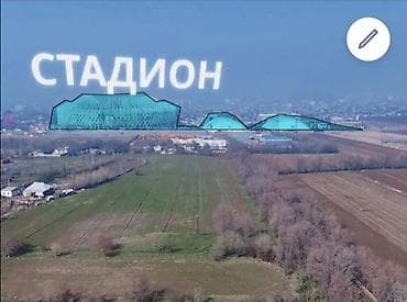стадионная: 19 соток, Для строительства, Красная книга — 4