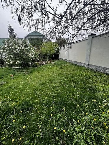 motion designer: Нужен человек кто наведет порядок на участке, скосит газон, прополоть — 1