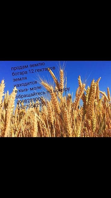 купить землю сх назначения: 12 соток, Для сельского хозяйства — 1