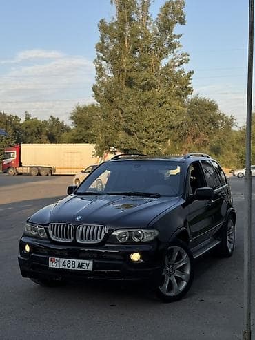 BMW X5: 2003 г., 3 л, Автомат, Дизель, Внедорожник