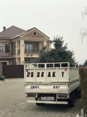 автоматический секатор для обрезки деревьев: Продаются голубые ели, туи, сосны Доставка по всей стране Размеры от — 2