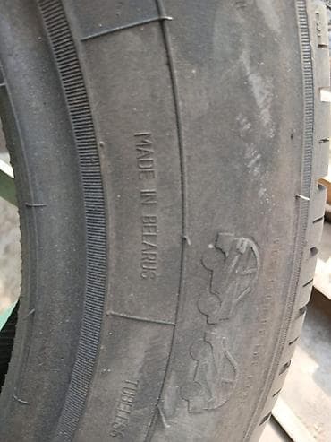 Шиналар 195 / 65 / R 15, Жай, Жеңил унаалар, Belshyna — 1