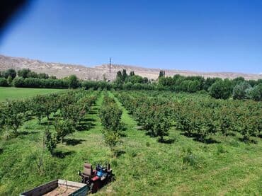 аренда дом кудайберген: 275000 соток, Бизнес үчүн — 5