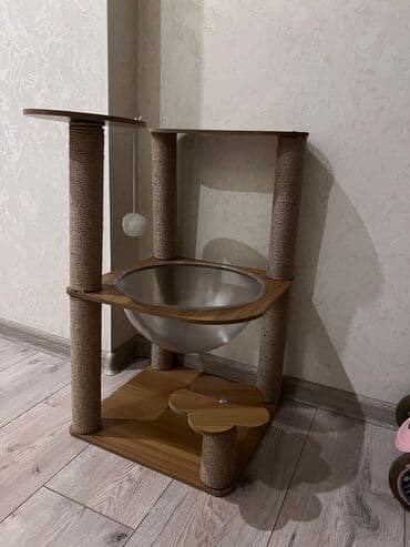 Аквариумдар: Британ кыска жүндүү, 4 айлык, Ургаачы, Күмүш өңдүү шиншилла, Лотокко барууга үйрөтүлгөн, Курттардан тазаланган, Эмделген — 7