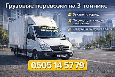 Комнатные растения: Грузоперевозки по Бишкеку и регионам. - Квартирные, домовые и офисные — 4