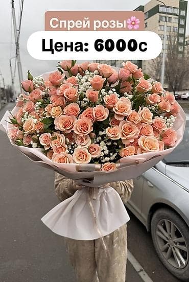 яблоки цена бишкек: 💗Стол предзаказов на 14 февраля официально открыт! Самый главный день — 9