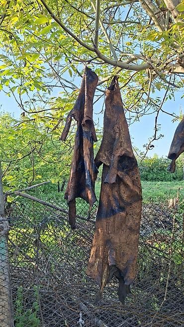 Жаңы ышталган кымызга чаначтар сатылат баасы 5миңден 9 миңге чейин — 2