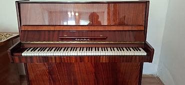Пианино «Иртыш» (модель «Украина»/«Украина-2», upright). - Корпус