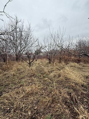 Продажа домов: 🏠 Эксклюзивный вариант! Продаётся дом в Чон-Арык 🏡 Участок: 12 соток — 4