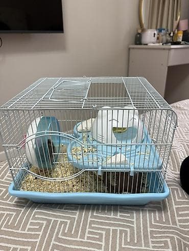 продаю саман: Джунгарский хомяк с полным комплектом для содержания. В комплект — 2