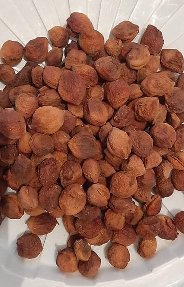 швабра с отжимом бишкек: Натуральный кургатылган баткен өрүгү дайнеги менен. Шаар ичинде 100 — 2