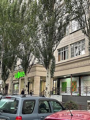 3 бөлмө, Риелтор, Чогуу жашоосу жок, Толугу менен эмереги бар