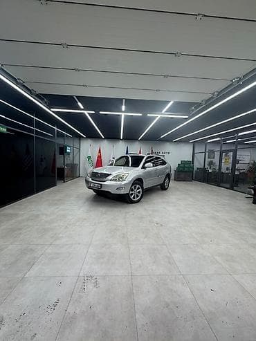Lexus RX: 2008 г., 3.5 л, Автомат, Газ, Кроссовер