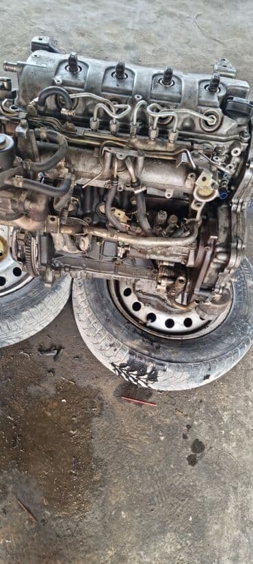 opel combo: Топливная аппаратура Nissan 2003 г., Б/у, Оригинал, Япония — 3