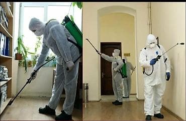 костюм для танца: Дезинфекция, дезинсекция, | Клопы, | Квартиры — 6