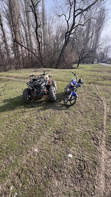 скуто: Квадроцикл Бензин, 180 куб. см, Взрослый — 3