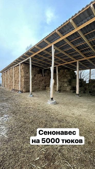 бокс сдаю: Ферма КРС, 1000 соток, Действующий, С оборудованием, Электричество, Отопление, Скважина — 9