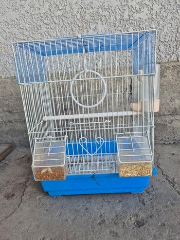 Иттер: Просторная клетка для птиц, выполненная из комбинации синего и белого — 4