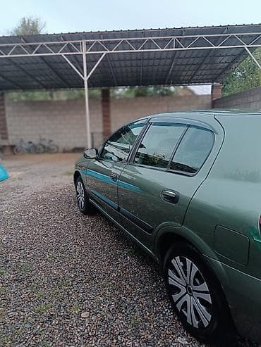 e star: Nissan Almera: 2003 г. — 5