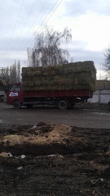наполнитель для животных: Куплю беде с поля с сеновалам салома любой количество тюки цена — 1