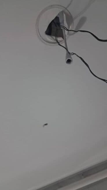 натожный потолок: Керме шыптар Жылтырак, Жылтырабаган, 3D потолоктор Кепилдиги, Акысыз консультация, Акысыз ченөө — 12