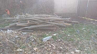 купить дрова в мешках: Дрова — 6