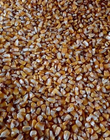 Куплю кукурузу ниже 13% влажности оптом
